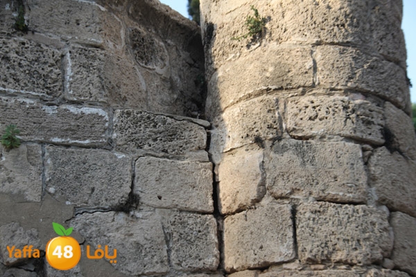 abonabootsbeel502 (12).JPG